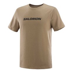 Salomon Logo Performance Short Sleeve Tee Men's in Shitake